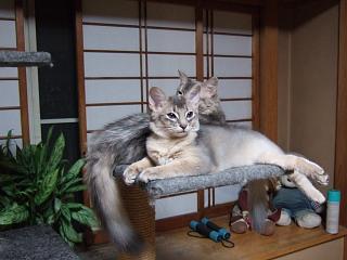 おかあたまと♪