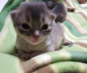 両目がこんな感じで開いています☆