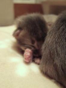 えへっ（*´▽｀*）