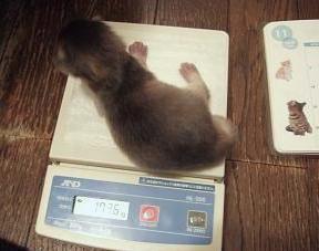 はみ出ちゃうなぁ…