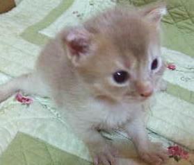 おめめクリクリ貴公子♪