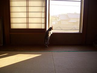 お外は、広いです～☆