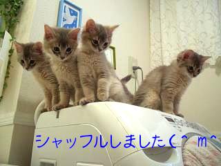 もう降りて良い?