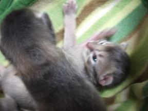 オメメが開いている側からのショット☆