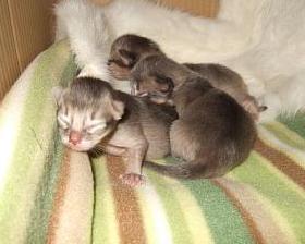 ふぅ～、おろしたての肌触り～（*´▽｀*）