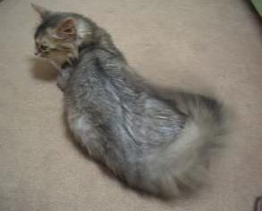 ふっくらしてきた？