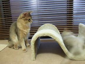 今日もはげしく暴れてるねぇ