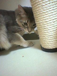 ３．８キロだって～☆