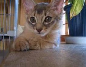 今日のアップ☆