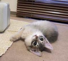 ３０分かかったさ…