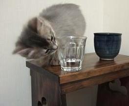 ん？こっちは？？