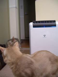 う～言われています