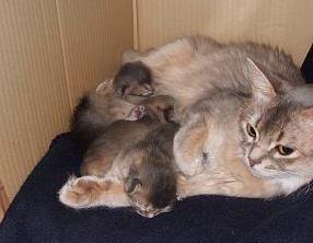 飲み疲れました…