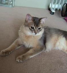 小粒兄ちゃん♪