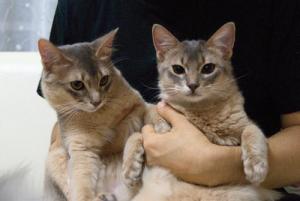 幸せそうにゃ～ん