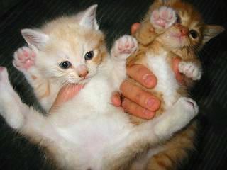 サービスショットじゃ～☆