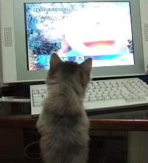 ドラえもん！？