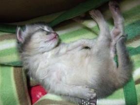 K君、君は逞しい！