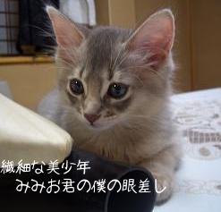 色男みみお