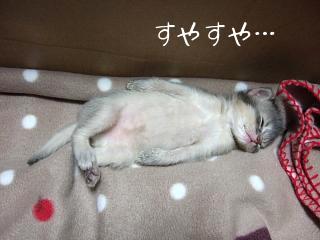 K君、君は幸せ者だ！