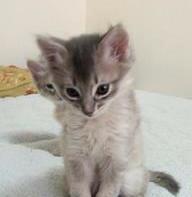 寝起きです/ちよ