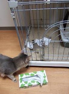 これでよしっ☆