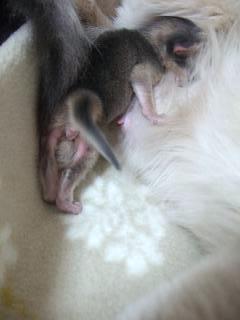 伸びしてみたり～♪