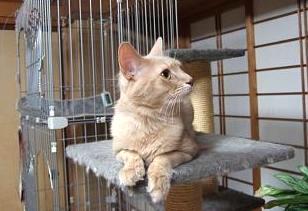 どこ行っちゃったのかな～？