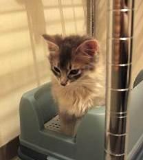 哀愁漂ってますか？