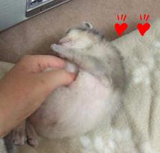 脇はたまらんのぉ　by　GIN