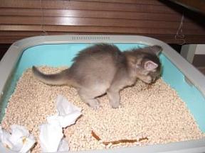 すんご～い、超大作！！