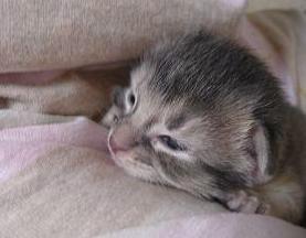 ちょっとふてくされ