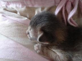 哀愁漂う後頭部