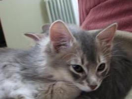 膝乗り千代タン