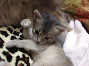 おいでおいでしてくれてるの？