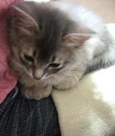 控えめなきん君