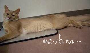 はみでてる～（＞＜）