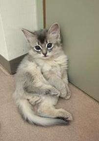 ( ‥) ﾝ？何撮ってるの？