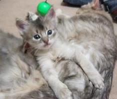 長いでしょ～　（＾o＾）ｖ