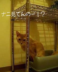 おトイレ中･２♪