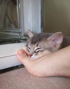 動けないけど、なんだか幸せ♪