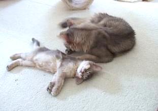 母の超絶テク、炸裂☆