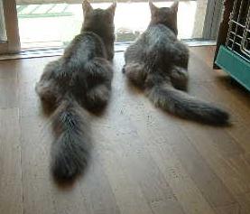 幸せこっちゃん♪