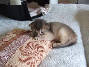 お腹冷えない？