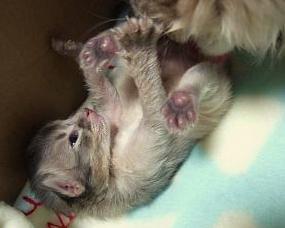 あ～（*￣∇￣）