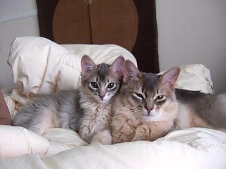 お兄ちゃんと♪