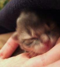 ムクちゃんの子ですから…♪