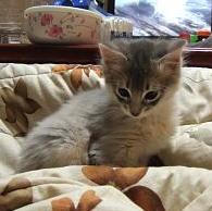 ちよちよ、はしゃぎちゅう