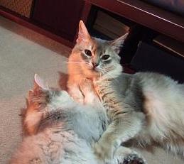 お兄ちゃん大好き（*´▽｀*）