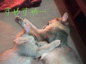 添い寝するのだ